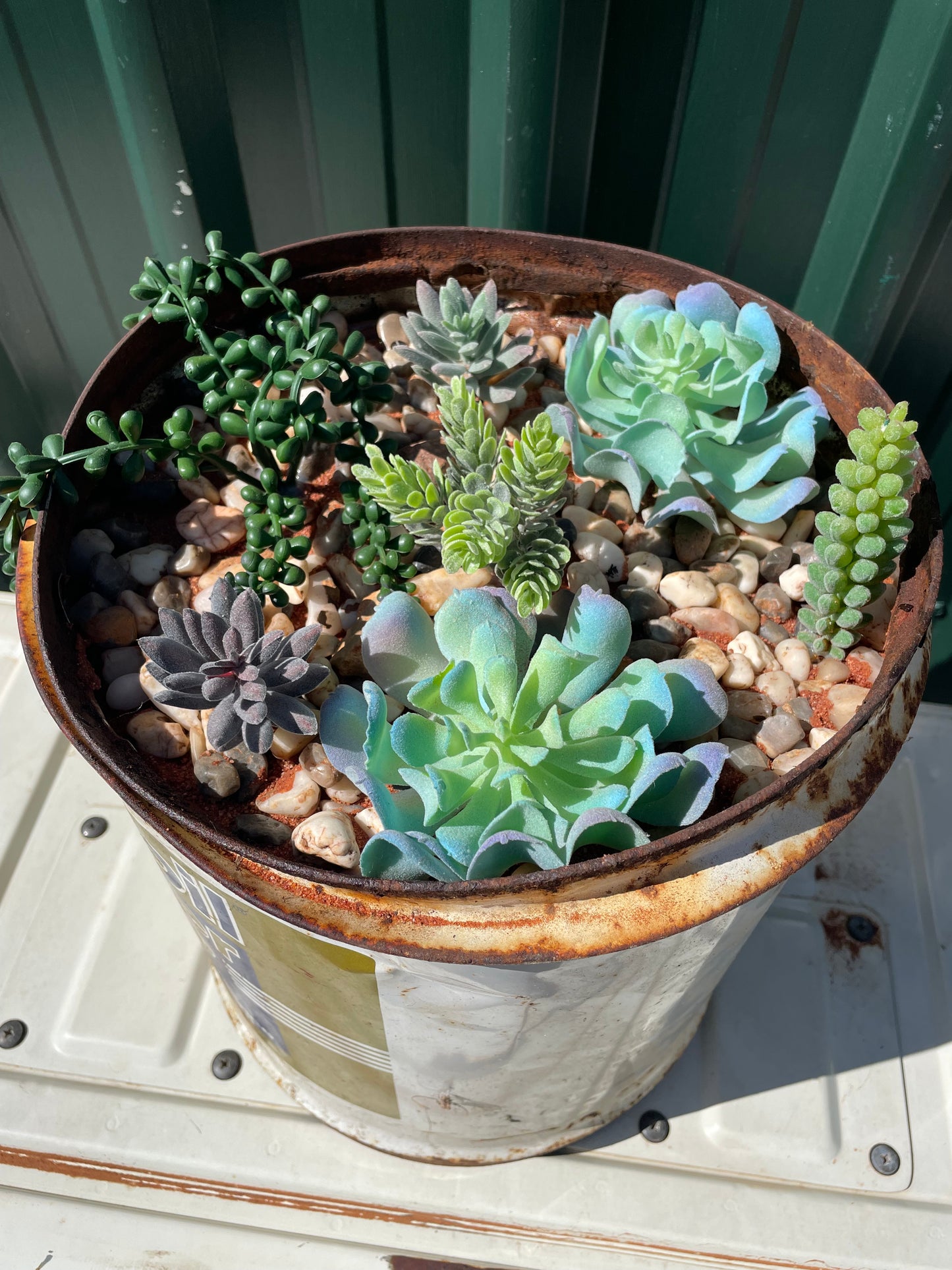 Vintage Mobil 20ltr tin succulent display.