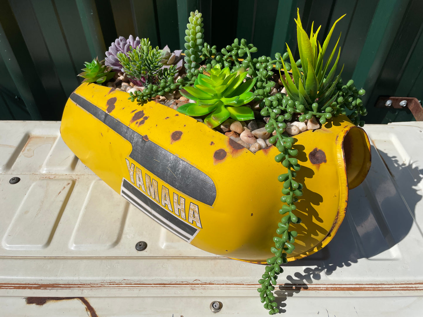 Yamaha Motorbike Tank succulent display.