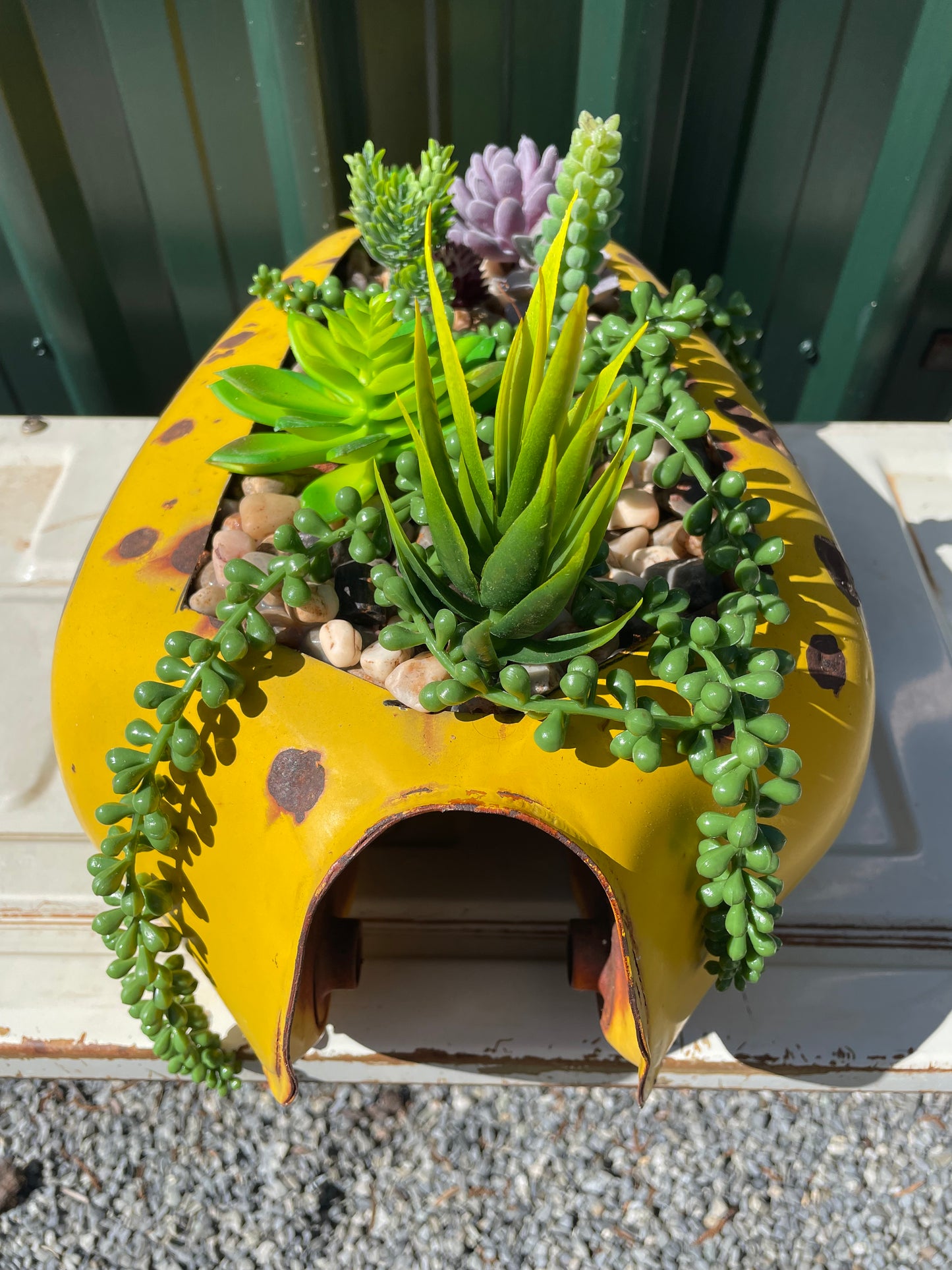 Yamaha Motorbike Tank succulent display.